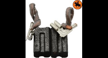 Koolborstelset voor DeWalt DW236D - 6,3x8x13mm