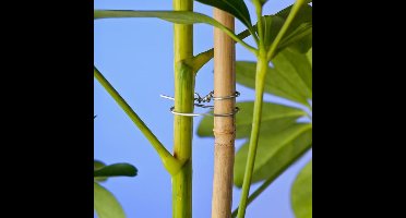 2 stuks Binddraad verzinkt dia. 0,7mmx50m  Nature