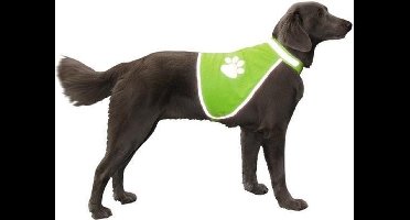 Nobby veiligheidsvest reflecterend geel borst 64 - 81 cm hals 48 - 62 cm - 1 st