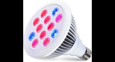 LED Kweek - E27 - 12W - Red9/Blue3
