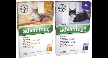 Bayer Advantage Kat 40 tot 4 kg - 4 Pipetten