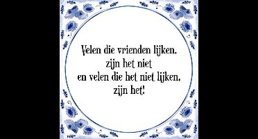 Tegeltje met Spreuk (Tegeltjeswijsheid): Velen die vrienden lijken, zijn het niet en velen die het niet lijken, zijn het! + Kado verpakking & Plakhanger