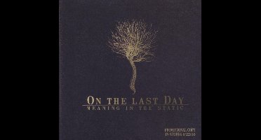 Meaning In The Static