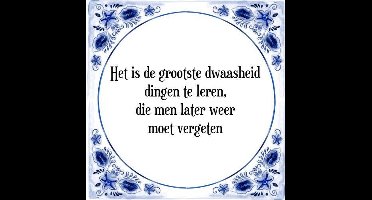 Tegeltje met Spreuk (Tegeltjeswijsheid): Het is de grootste dwaasheid dingen te leren, die men later weer moet vergeten + Kado verpakking & Plakhanger