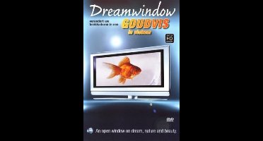 Dream Window - Goudvis (DVD)
