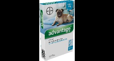 Advantage 100 Anti vlooienmiddel Hond - 4 pipetten