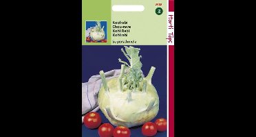 Hortitops Zaden - Koolrabi Superschmelz