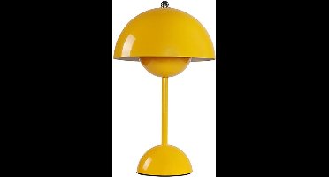 Paddenstoel Lamp - Paddestoel Lamp - Mushroom Lamp