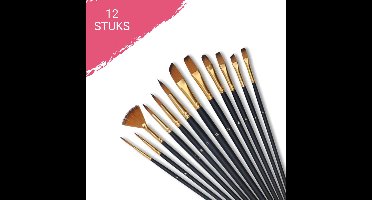 HobbyMania 12 Penselen - Schilderen Op Nummer Volwassenen - Modelbouw - Happy Stones - Nail Art - Acrylverf