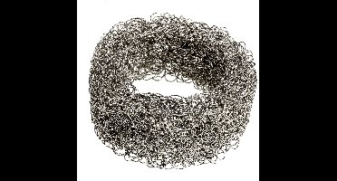 Scanpart ontkalkingsring roestvrijstaal voor waterkoker