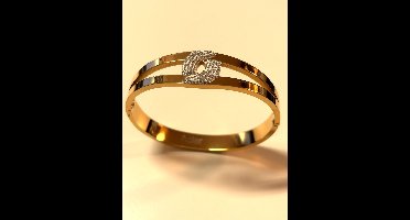 Goudkleurige Dames Armband van Roestvrij Staal – Dubbele Band met Zirkonia – Luxe RVS Sieraad voor Dagelijks en Feestelijk Gebruik