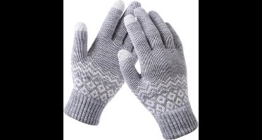 Handschoenen - Winter - Gloves - Touchscreen - Grijs - Unisex - Knit
