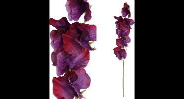 PTMD Garden Bloem Sweetpea Kunstbloem - 6,5 x 6,5 x 45,5 cm - Paars