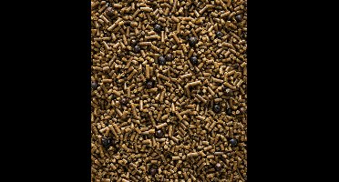 Nutribird- Vogelvoer- Remiline- Orlux- Pateekorrel- 2 kilo