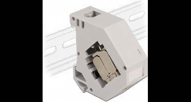 Delock DIN rail Adapter with Keystone Module RJ45 jack Cat.6A LSA