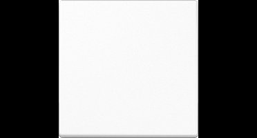 Intelligent Bedieningselement Van Jung - A1700WW - E2WCS