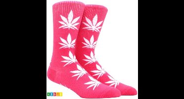***Wietsokken - Cannabissokken - Cannabis - Unisex sokken - Maat 36-45 - van Heble®***