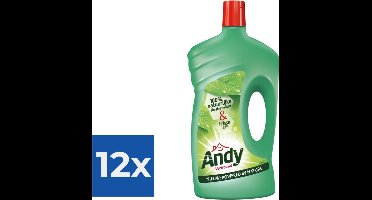 Andy Allesreiniger Vertrouwd 1000 ml - Voordeelverpakking 12 stuks