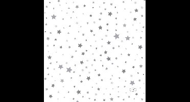 Servetten - 33 x 33 cm - Zilver - Stardust