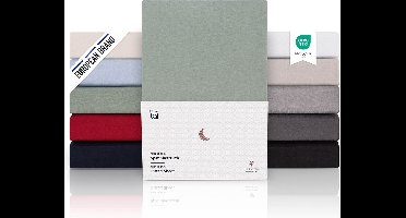 Blumtal Hoeslaken Premium Jersey - 200 x 200 cm - tot 40 cm Matrashoogte - Summer Green - 100% Katoen - Boxspring