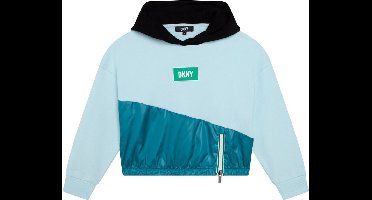 Dkny D35s53 Hoodie Blauw 12 Years Meisjes
