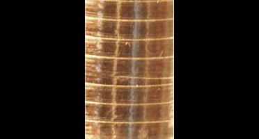 Sierlint Polyband 250mx5mm Haza Metallic Goud