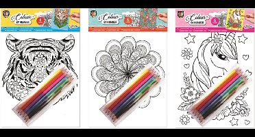 Grafix kleuren op nummer 6 vel: tijger