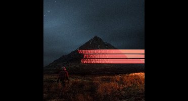 What Could Possibly Go Wrong