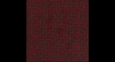 The Black Angels - Wilderness Of Mirrors (CD)