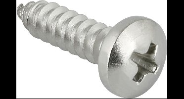 Plaat-schroef cilinderkop3.5 x 19mm. Lang. pozidrive-2. verzinkt. 20 stuks hout-schroeven.Homefix.