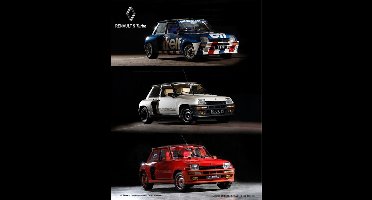 metalen wandbord Renault 5 Turbo 3 stuks 30x40 cm