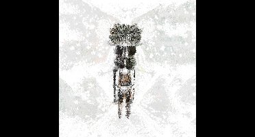 Psycho Baba - Sab Se Purani Bab (2 LP)