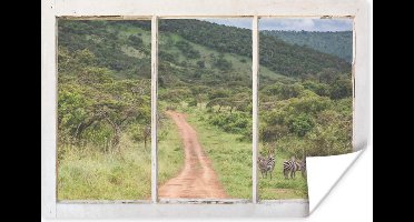 Poster Doorkijk - Zebra - Dieren - 30x20 cm