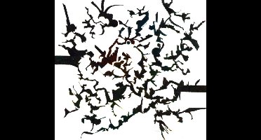 Dorian Concept - Joined Ends (CD)