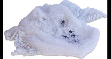 Witbaard Spinrag Polyester 200 G Wit 11-delig