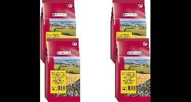 Versele-Laga Gestreepte Zonnebloempitten - Vogelvoer - 4 x 600 g