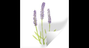 Muurstickers - Sticker Folie - Lavendel - Aquarel - Planten - 30x30 cm - Plakfolie - Muurstickers Kinderkamer - Zelfklevend Behang - Zelfklevend behangpapier - Stickerfolie