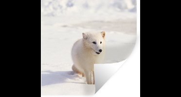 Muurstickers - Sticker Folie - Vos - Sneeuw - Wit - 30x30 cm - Plakfolie - Muurstickers Kinderkamer - Zelfklevend Behang - Zelfklevend behangpapier - Stickerfolie
