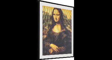 Craft Sensations Diamond painting voor volwassenen | Mona Lisa diamond painting | Formaat 40 X 50 CM | Knutselpakket volwassenen