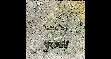 David Yow - Tonight You Look Like A Spider (CD)