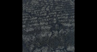 Vloerkleed Xilento Discovery Antraciet Taupe | 170 x 230 cm