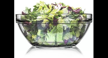 ORION - Glazen Saladeschaal - 26cm - 3,6L