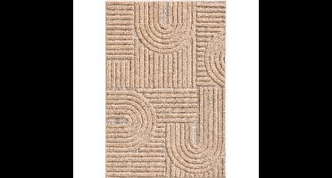 Japandi Vloerkleed Roze – Scandinavisch & Japans Design – Laagpolig – 160x230 cm