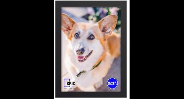 Elegante A4 Fotolijst van Massief Hout met High-Definition Glas voor Wandmontage