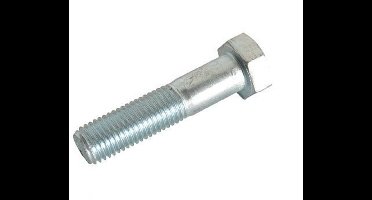 Moerbout 10.9 M14x100mm