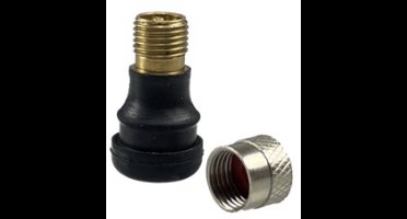 Segway-Ninebot Kickscooter Max G30 Tubeless Ventiel