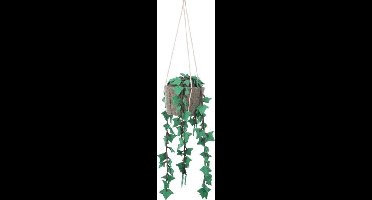 KidsDepot Hangplant Hedera Felix Vilt