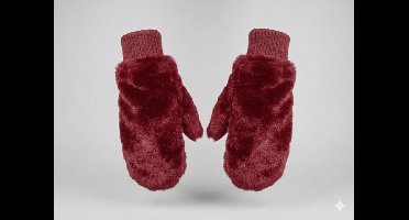 HS Extra Warme Dames Wanten - Bordeaux - One Size - Teddy voering