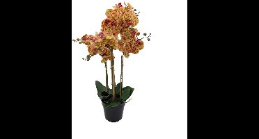 Kunst Phalaenopsis Orchidee In Pot x5 60 cm - Tiger Yellow