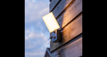 Selby - LED Wandlamp met sensor - 10 Watt 780 Lumen - Bewegingssensor en schemerschakelaar - 3000K warm wit licht - zwart